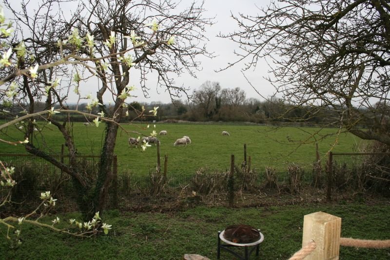 View from Shepherds Hut